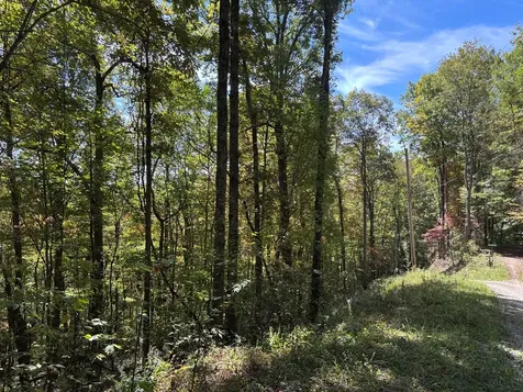 Lots 3 & 4 Holly Ridge Road Topton NC 28781