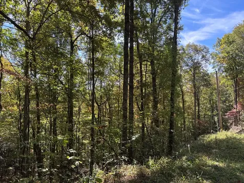 Lots 3 & 4 Holly Ridge Road Topton NC 28781