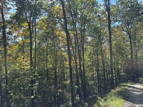 Lots 3 & 4 Holly Ridge Road Topton NC 28781