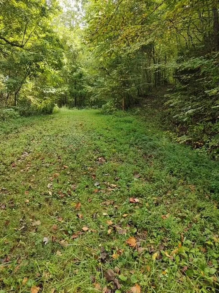 0 Yellow Branch Sr 1241 Robbinsville NC 28771