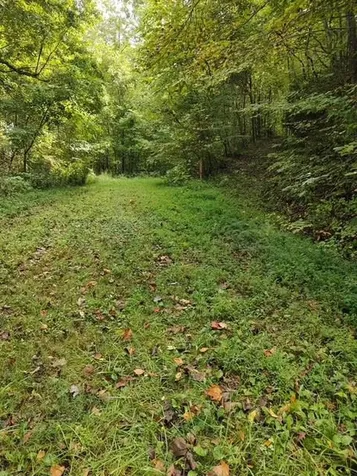 0 Yellow Branch Sr 1241 Robbinsville NC 28771