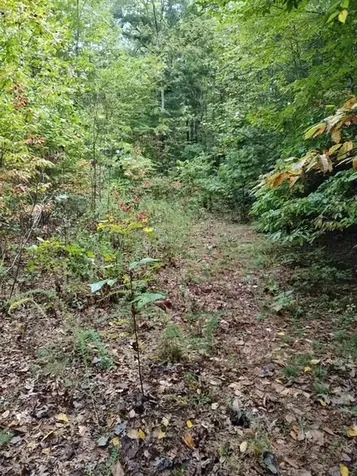 0 Yellow Branch Sr 1241 Robbinsville NC 28771