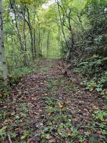 0 Yellow Branch Sr 1241 Robbinsville NC 28771