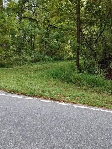 0 Yellow Branch Sr 1241 Robbinsville NC 28771