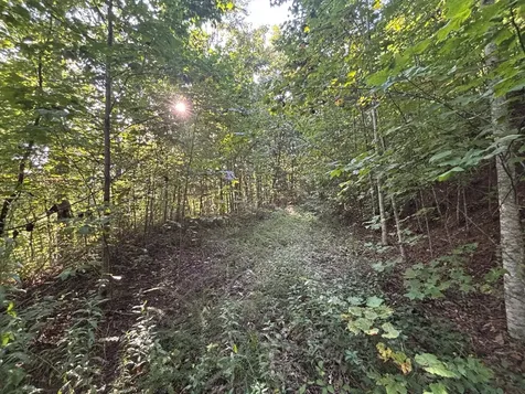 1111 Canopy Lane Robbinsville NC 28771