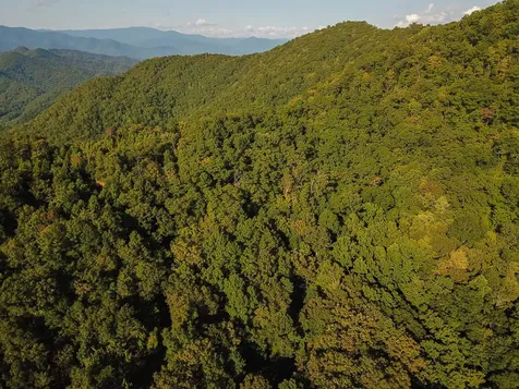 1111 Canopy Lane Robbinsville NC 28771