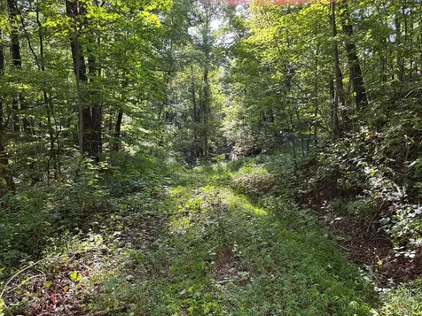1111 Canopy Lane Robbinsville NC 28771