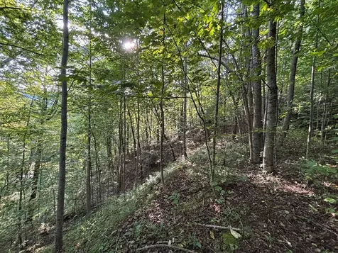 1111 Canopy Lane Robbinsville NC 28771