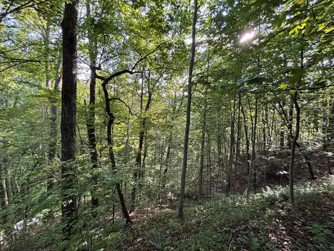 1111 Canopy Lane Robbinsville NC 28771