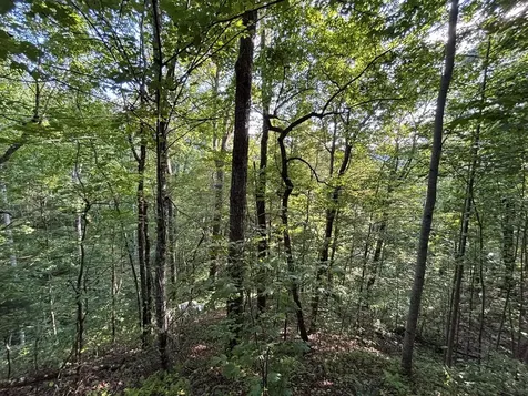 1111 Canopy Lane Robbinsville NC 28771