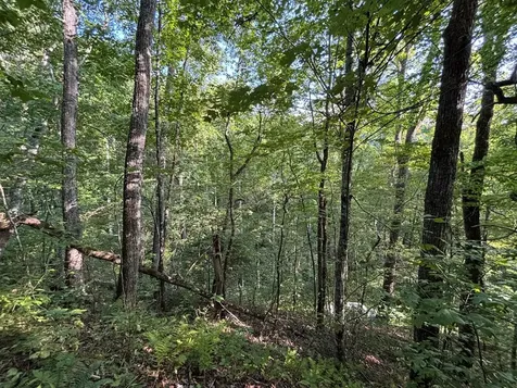 1111 Canopy Lane Robbinsville NC 28771