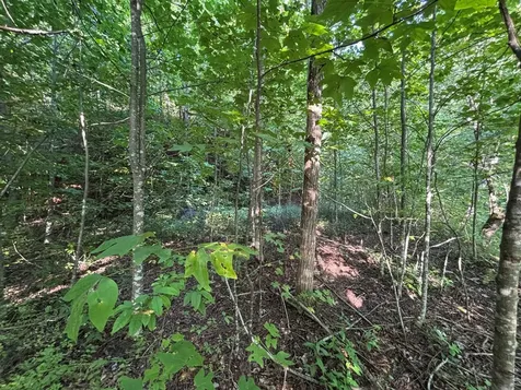 1111 Canopy Lane Robbinsville NC 28771