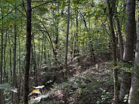 1111 Canopy Lane Robbinsville NC 28771