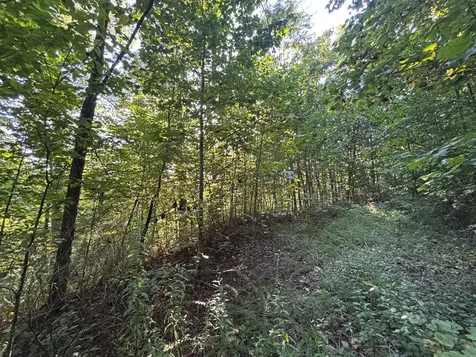 1111 Canopy Lane Robbinsville NC 28771