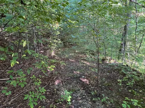 1111 Canopy Lane Robbinsville NC 28771