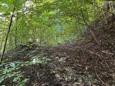 1111 Canopy Lane Robbinsville NC 28771