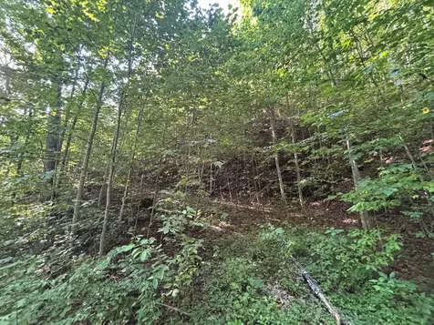 1111 Canopy Lane Robbinsville NC 28771