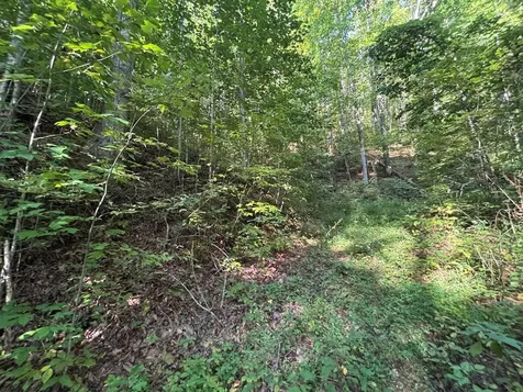 1111 Canopy Lane Robbinsville NC 28771