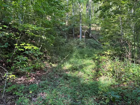 1111 Canopy Lane Robbinsville NC 28771