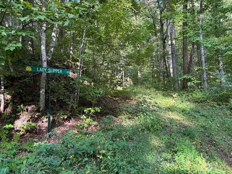 1111 Canopy Lane Robbinsville NC 28771
