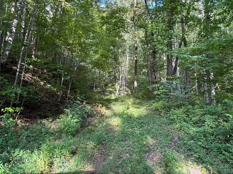 1111 Canopy Lane Robbinsville NC 28771