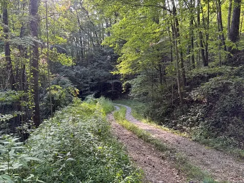 1111 Canopy Lane Robbinsville NC 28771