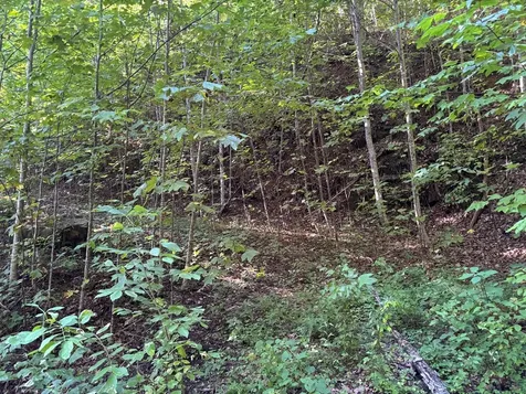 1111 Canopy Lane Robbinsville NC 28771