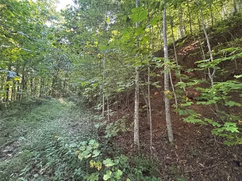 1111 Canopy Lane Robbinsville NC 28771