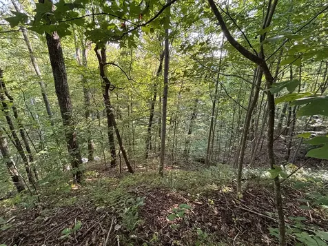 1111 Canopy Lane Robbinsville NC 28771