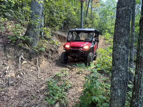 9999 Cindy Cove Trail Robbinsville NC 28771