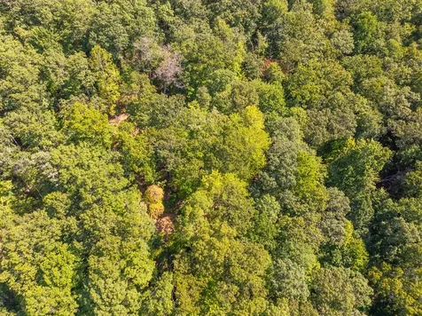 9999 Cindy Cove Trail Robbinsville NC 28771