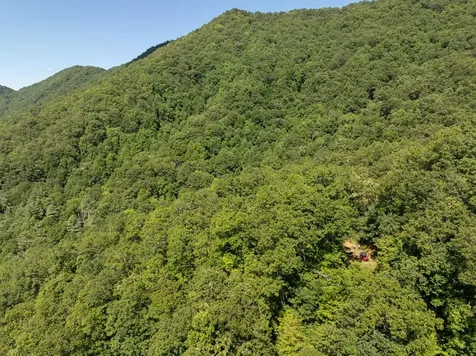 9999 Cindy Cove Trail Robbinsville NC 28771