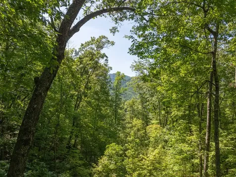 9999 Cindy Cove Trail Robbinsville NC 28771
