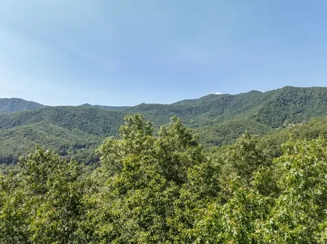 9999 Cindy Cove Trail Robbinsville NC 28771