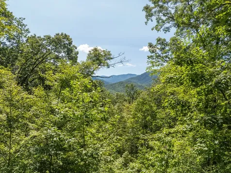 9999 Cindy Cove Trail Robbinsville NC 28771