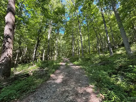 9999 Cindy Cove Trail Robbinsville NC 28771