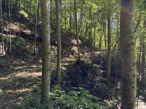 9999 Cindy Cove Trail Robbinsville NC 28771