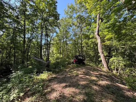 9999 Cindy Cove Trail Robbinsville NC 28771
