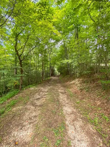 9999 Cindy Cove Trail Robbinsville NC 28771