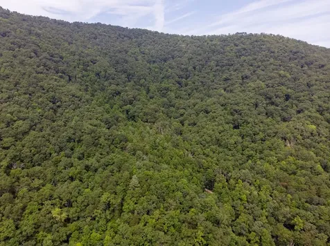 9999 Cindy Cove Trail Robbinsville NC 28771