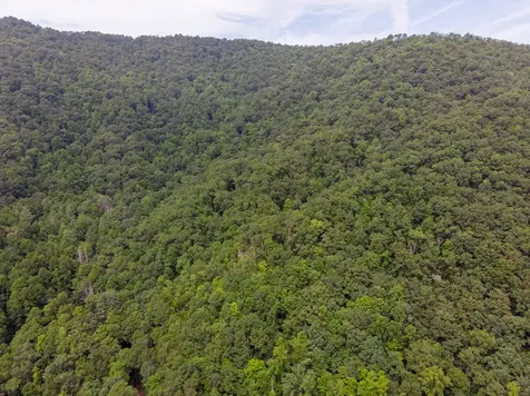 9999 Cindy Cove Trail Robbinsville NC 28771