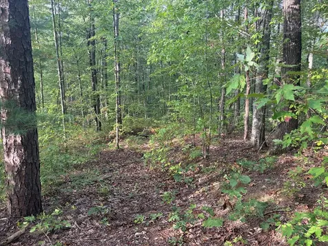 Lot 7 Madison Lane Robbinsville NC 28771