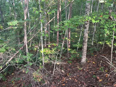 Lot 7 Madison Lane Robbinsville NC 28771
