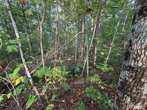 Lot 7 Madison Lane Robbinsville NC 28771