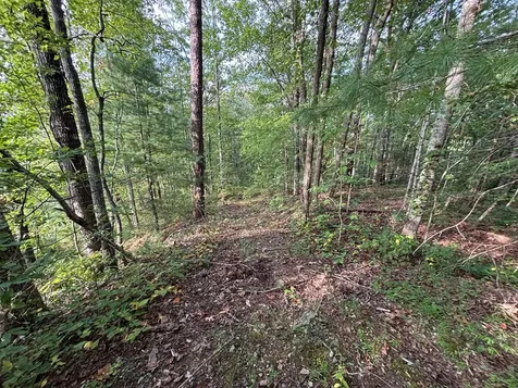 Lot 7 Madison Lane Robbinsville NC 28771