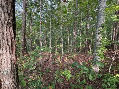 Lot 7 Madison Lane Robbinsville NC 28771