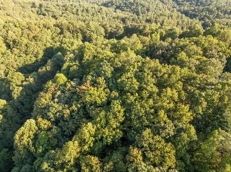 Lot 7 Madison Lane Robbinsville NC 28771