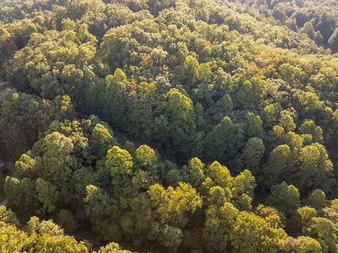 Lot 7 Madison Lane Robbinsville NC 28771