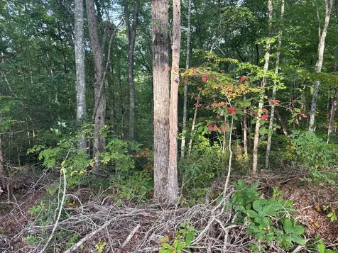 Lot 7 Madison Lane Robbinsville NC 28771