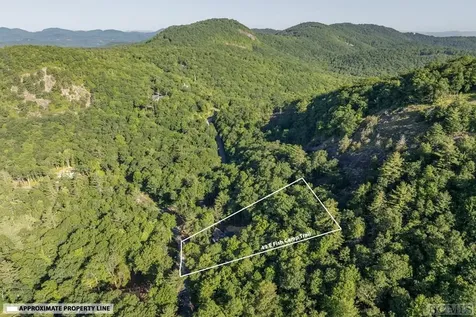 49 E Fish Camp Trail Glenville NC 28736
